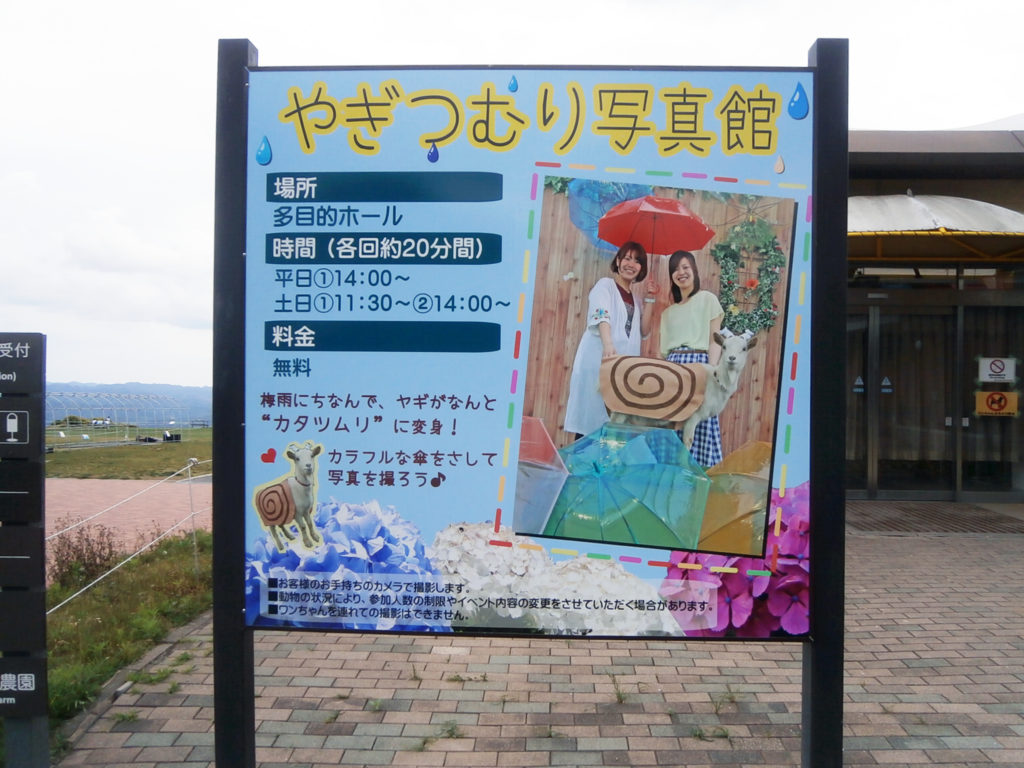 やぎつむり写真館